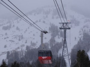 The aerial tram at Jackson Hole, WY