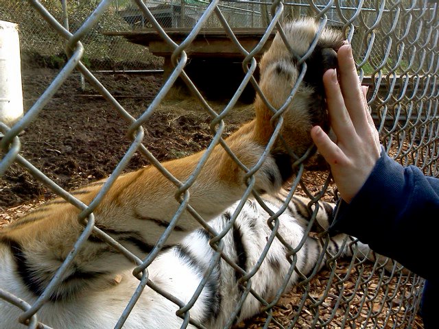 208414_1660759770629_5119379_n